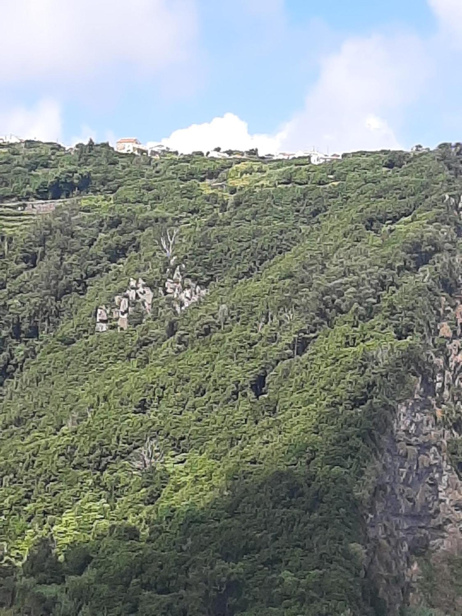 Appartamento Casa Vicente *